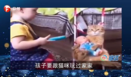 搞笑短视频.,让你笑到肚子疼