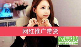 网红短视频,短视频热潮下的网红现象解析