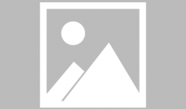 茄子黄短视频,揭秘茄子种植的黄金法则